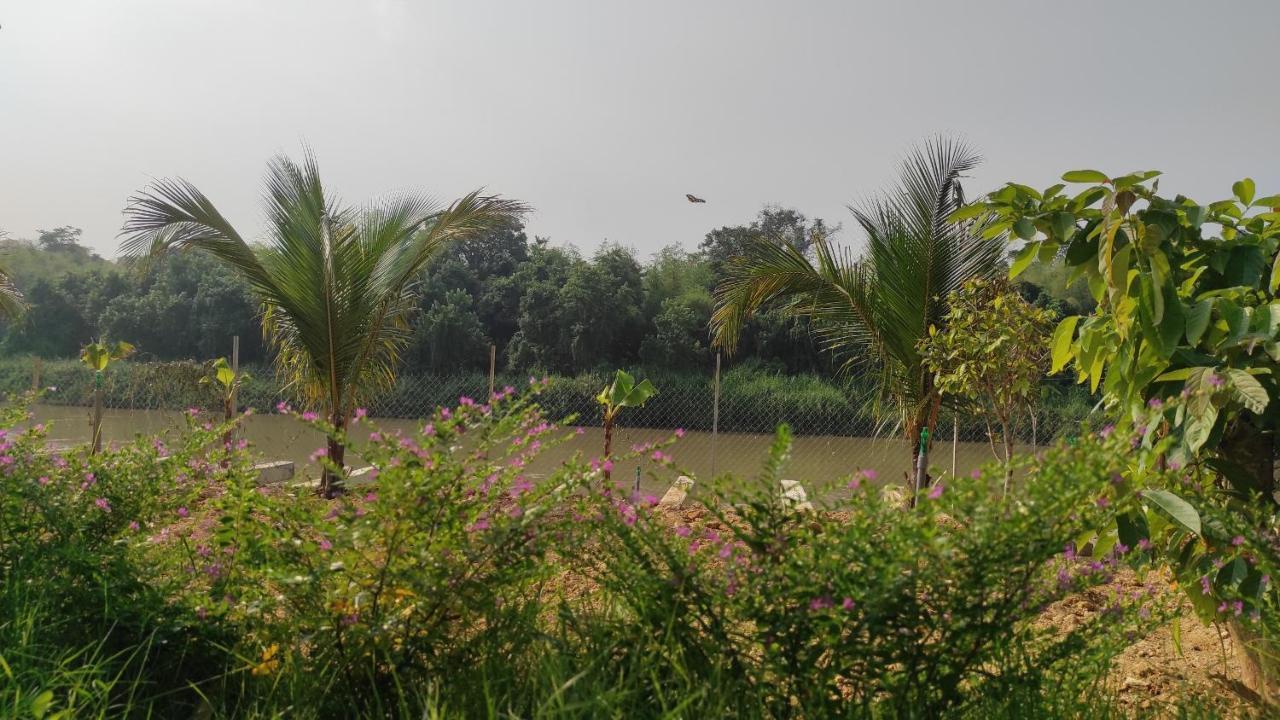 Homestay Dat Viet Cat Tien Exterior foto